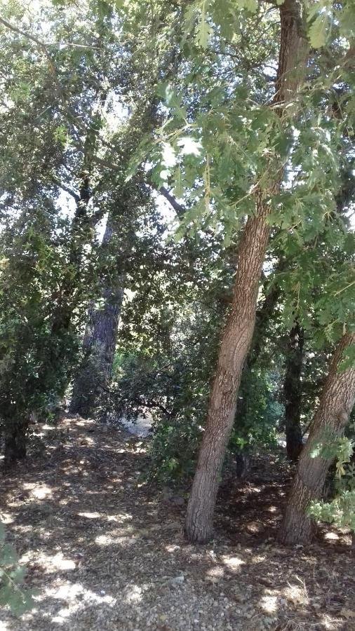 Apartament Le Sud Flayosc Zewnętrze zdjęcie